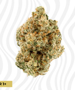 frozen lamens thca flower