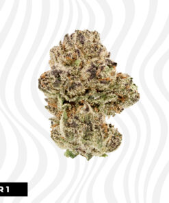 Buy Lemon cherry gelato