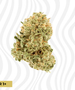 mango hashplant thca flower