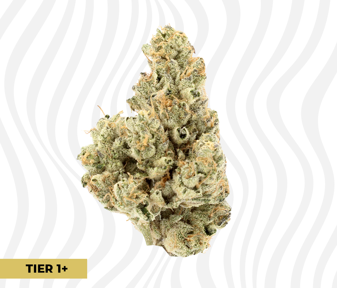 Triangle-Mintz_T1 triangle mints